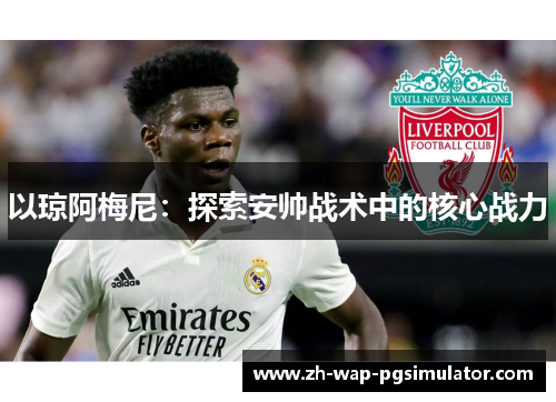 以琼阿梅尼:探索安帅战术中的核心战力 以琼阿梅尼:探索安帅战术中的核心战力