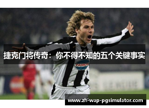 捷克门将传奇:你不得不知的五个关键事实 捷克门将传奇:你不得不知的五个关键事实