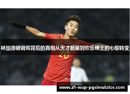林加德被调侃背后的真相从天才新星到欢乐梗王的心酸转变