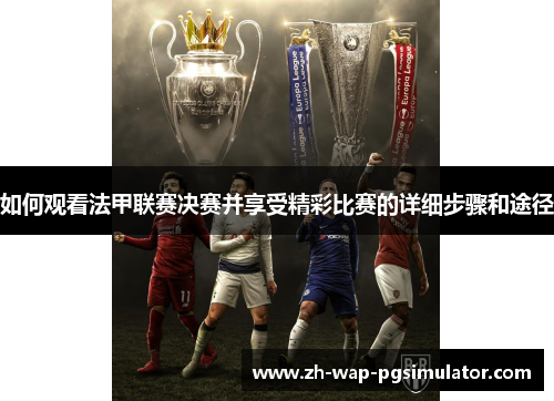 如何观看法甲联赛决赛并享受精彩比赛的详细步骤和途径