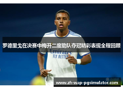 罗德里戈在决赛中梅开二度助队夺冠精彩表现全程回顾