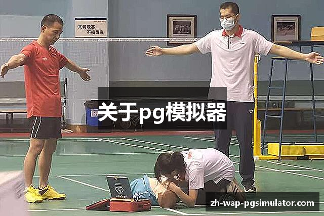 关于pg模拟器